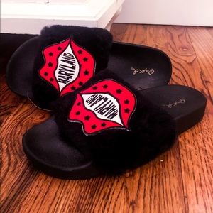 MARYLAND PATCH SLIDES